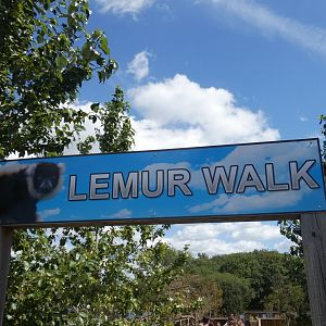 Signage above walk-way