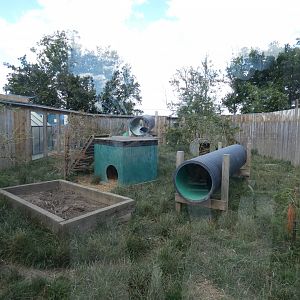 Fox enclosure