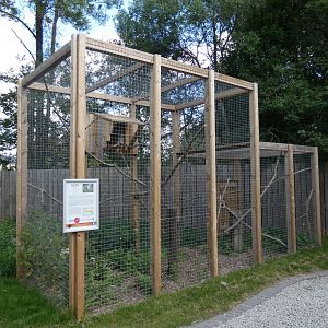 Ural Owl aviary