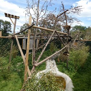 Binturong enclosure