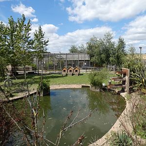 Domestic animal paddock