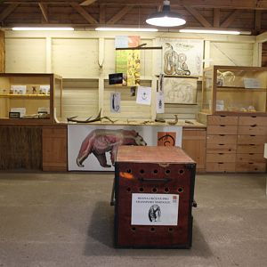 Veterinary care exhibit