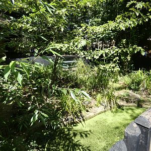 European Pond Turtle enclosure