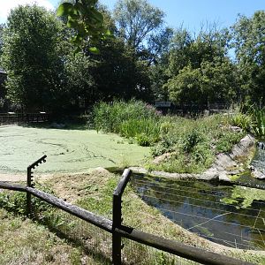 European Otter enclosure