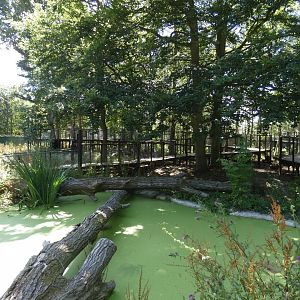 Red Squirrel walk-through