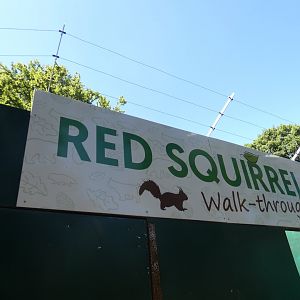 Red Squirrel walk-through entrance