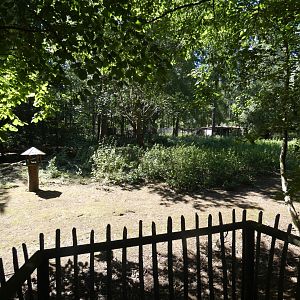 Common Crane enclosure