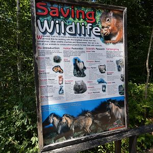 Saving Wildlife signage