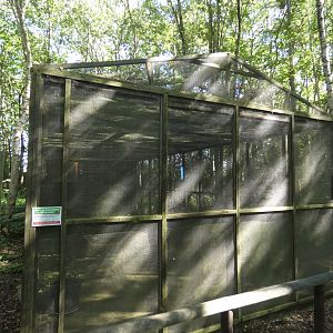Wild bat rehabilitation enclosure