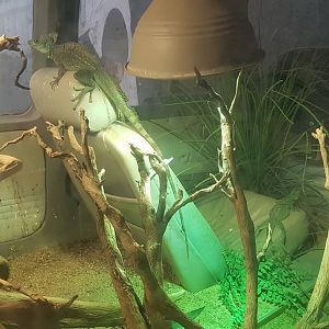 Tropical house - inside airplane