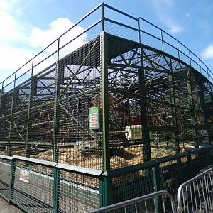 Western Lowland Gorilla enclosure (Gorillarium)