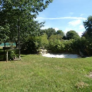 Amur Tiger enclosure