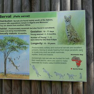 Serval signage