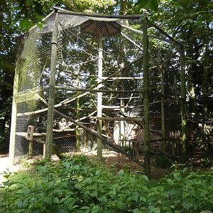 Black Lemur enclosure