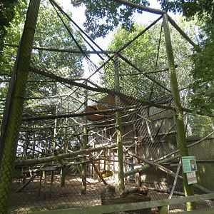 De Brazza's Monkey enclosure