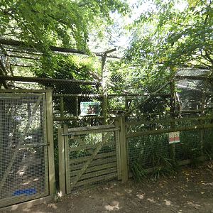 view of Margay enclosures