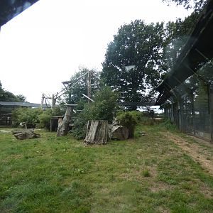 North Chinese Leopard enclosure