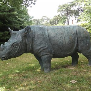 Sumatran Rhino statue