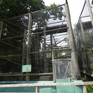 Moloch Gibbon enclosure (2)