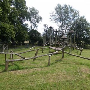 Javan Langur enclosure