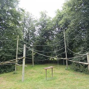 Siamang enclosure