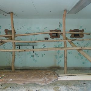 Javan Langur indoor enclosure