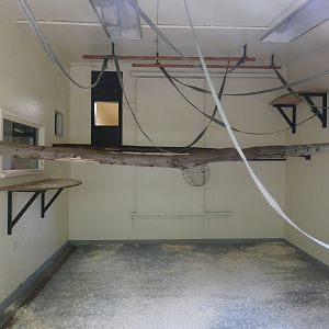 Siamang indoor enclosure