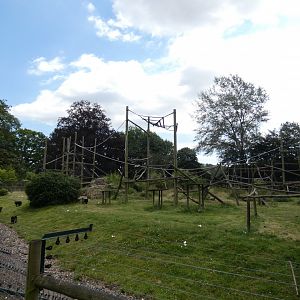 Lion-tailed Macaque enclosure