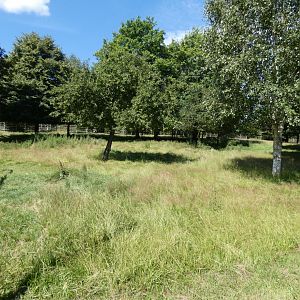 Greater Kudu enclosure