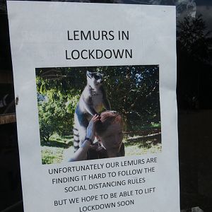 Lemur lockdown signage