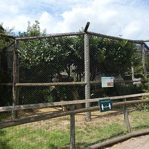 Pallas Cat enclosure