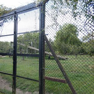 Sumatran Tiger enclosure