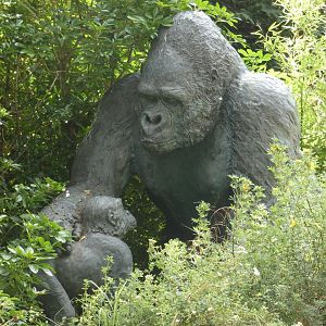 Western Lowland Gorilla statue