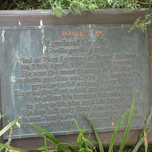 Sign next to Gorilla statue