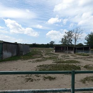 Eastern Black Rhino enclosure