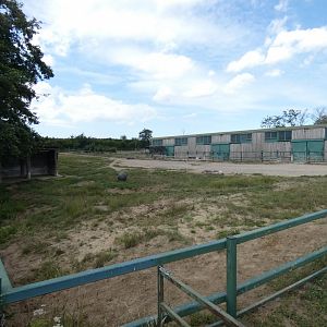 Eastern Black Rhino bull enclosure