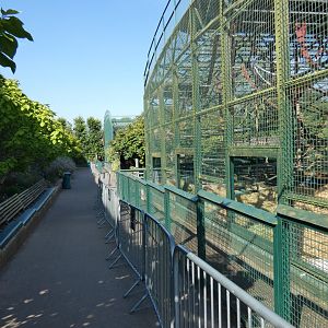 View of Gorillariums