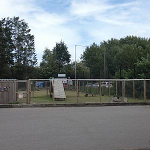 Goat enclosure by car park