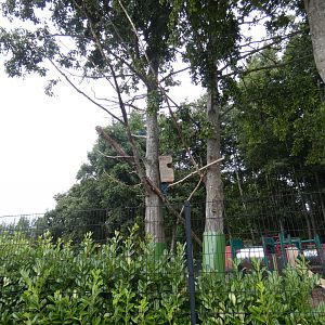 Macaw enclosure