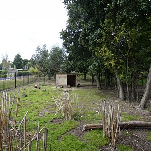 Bennett's Wallaby enclosure