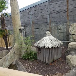 Future otter enclosure