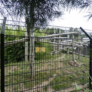 'Arctic' Wolf enclosure