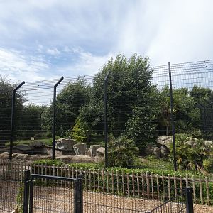 Hybrid Tiger enclosure