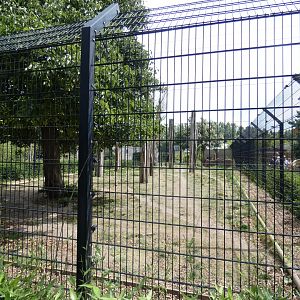 'Arctic' Wolf enclosure (2)