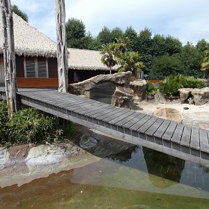 Lesser Flamingo enclosure
