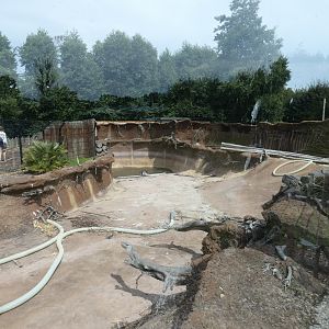 Future Penguin enclosure