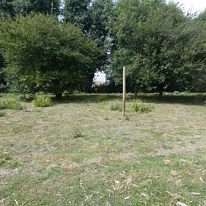 Maned Wolf enclosure