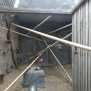 Red Ruffed Lemur enclosure