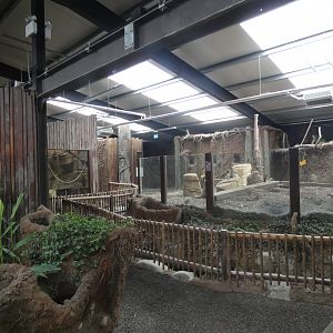 View of Tropical house