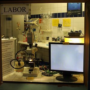 View into the Lab